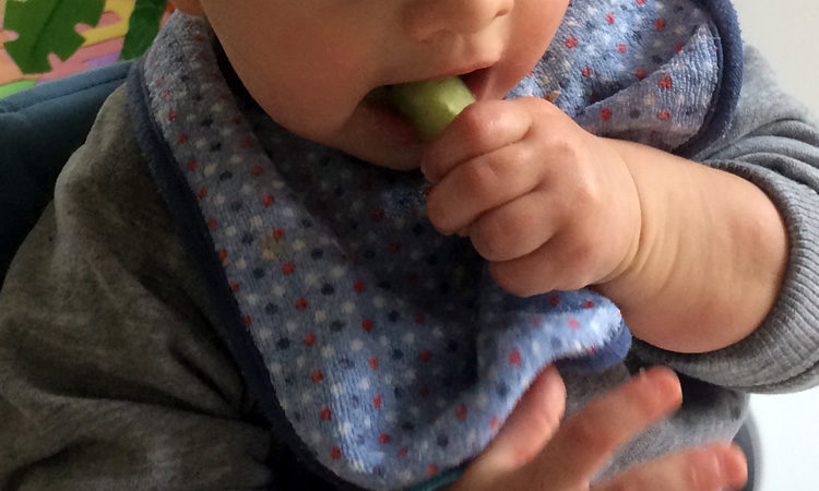 erstes fingerfood