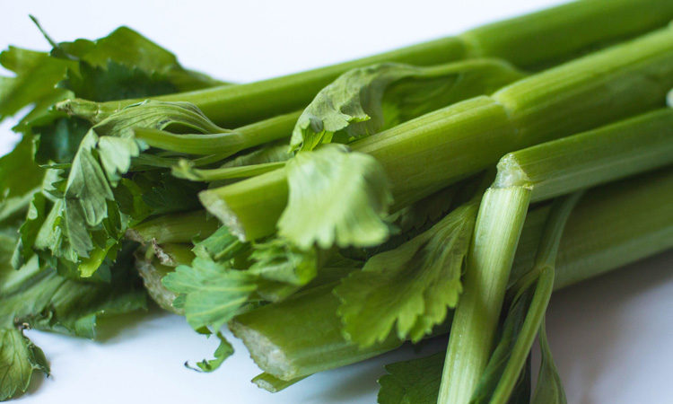 Zucchini-Sellerie-Brei mit Hähnchenbrust