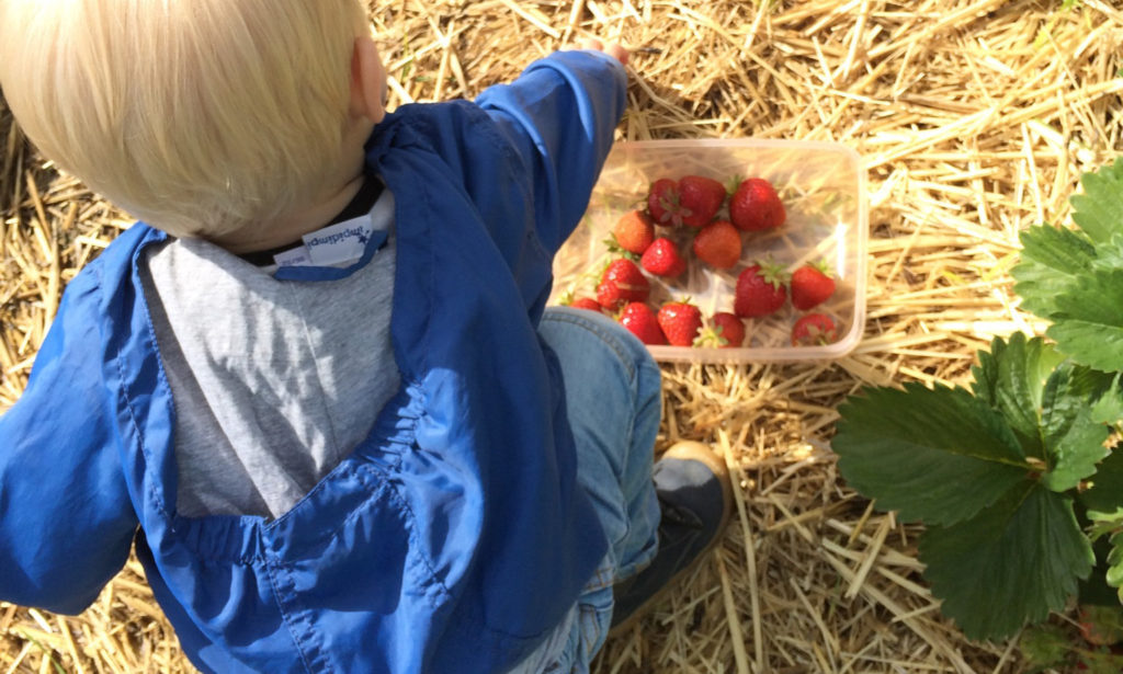 marmelade fuer kinder