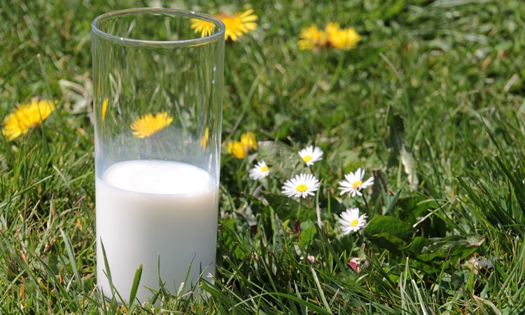 Kuhmilch im 1. Lebensjahr und Alternativen für den Abendbrei wie Pre-, Muttermilch oder pflanzliche Milch/Milchdrinks.