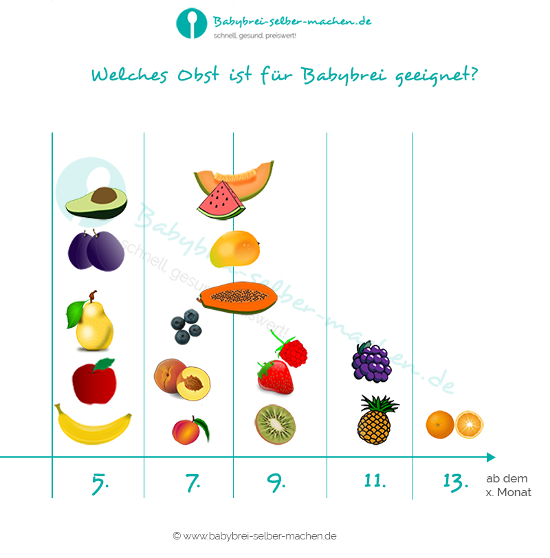 Welches Obst ist ab wann für Babybrei geeignet – Infografik
