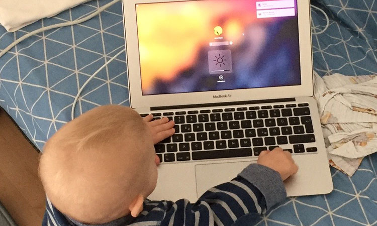 newsletter babybrei
