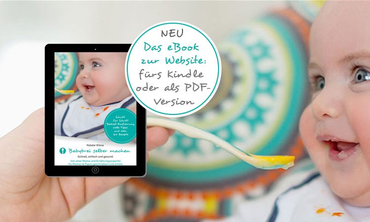 Babybrei selber machen eBook