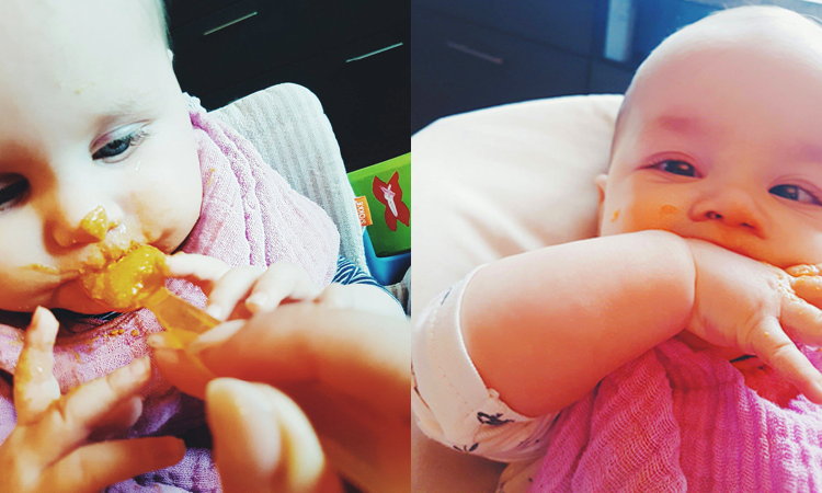 Zwillinge Babybrei und Beikost