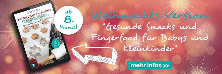 eBook Snacks Baby Weihnachts-Version