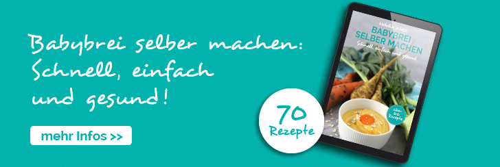 Teaser eBook babybrei selber machen