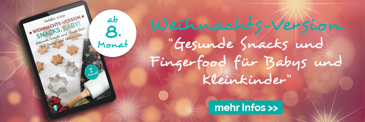 eBook Snacks Baby Weihnachts-Version