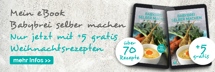 Teaser eBook Babybrei Xmas Unterseiten