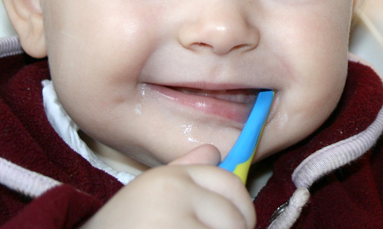 Zaehne putzen Baby Fluorid